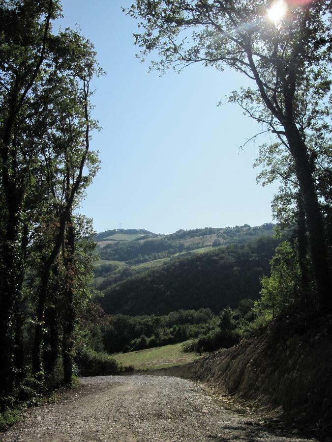 La Casa Di Lena Villa Travo Esterno foto